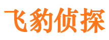 宿城私家侦探